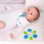 Elfi Zvecka Sa Vodenom Glodalicom Slonce (1)