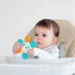 Elfi Zvecka Sa Vodenom Glodalicom Slonce (2)