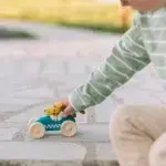 Lule Trkacki Auto Tigar (4)