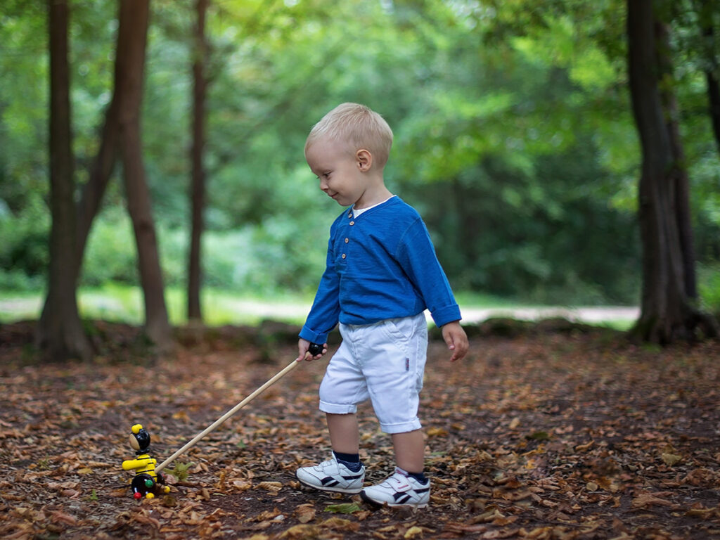 Pino Guralica Pcelica Decak Suma