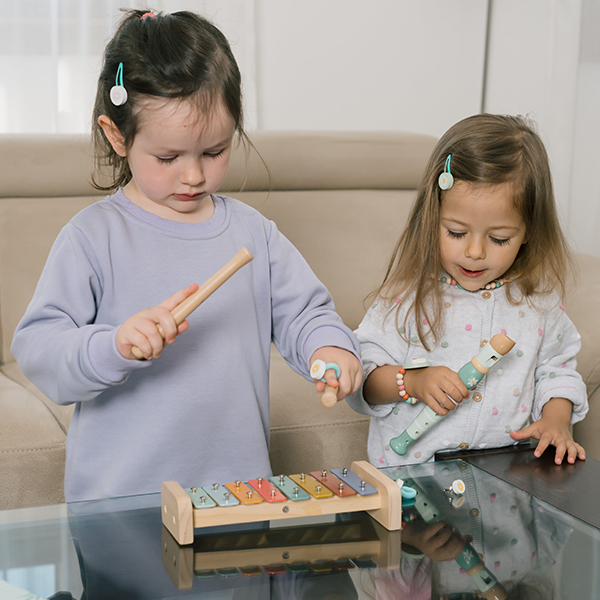 Devojcice Sviraju Metalofon I Frulu