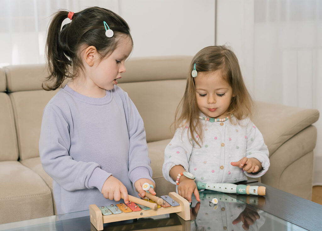 Socijalizacija Muzicki Instrumenti Frula I Metalofon