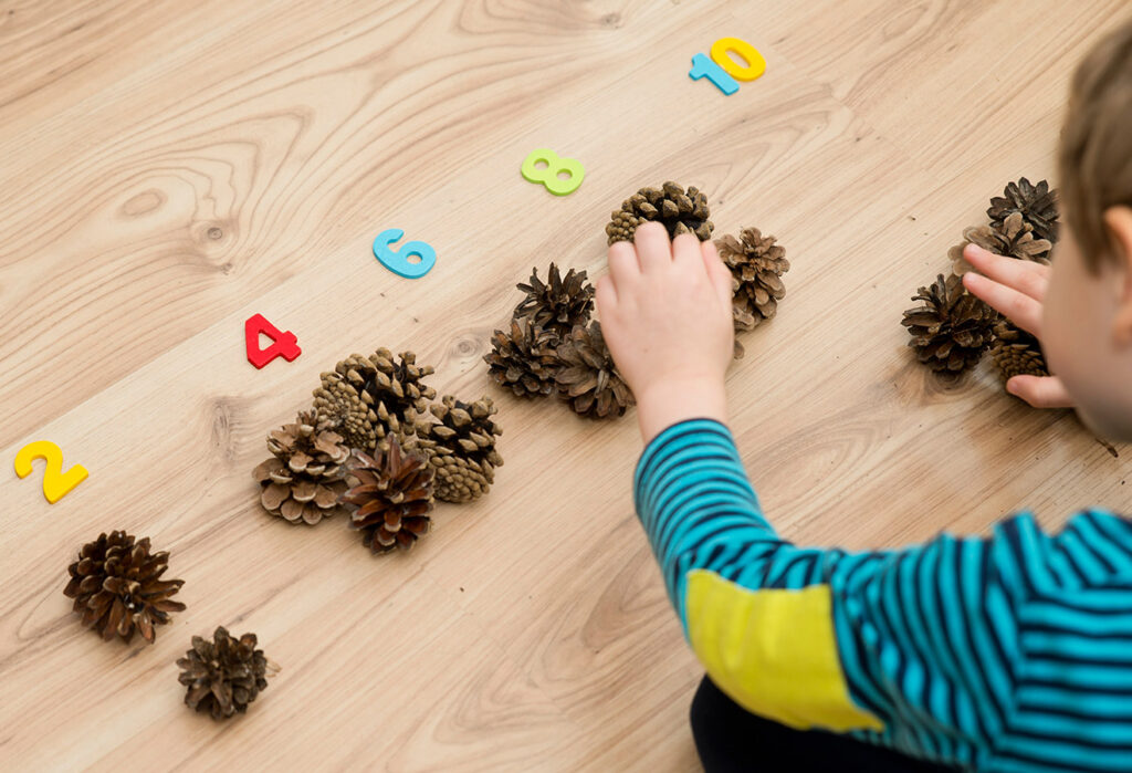 Ucenje Brojeva Svakodnevna Igra Decak Sa Sisarkama